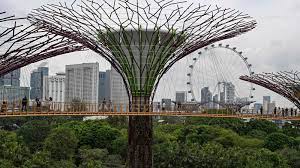 Singapore-Eases-Travel-Hassles--Introduces-QR-Code-System-in-Place-of-Passports-for-Border-Crossings