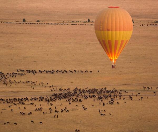 Kenya-s-Tourism-Revenue-Surges-Beyond-Pre-COVID-Levels-as-Travel-Sector-Flourishes